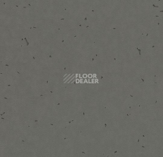 Линолеум Forbo Sphera Energetic 50215 ebony фото 1 | FLOORDEALER